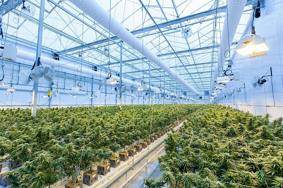 Mille Lacs Indoor Cannabis Facility